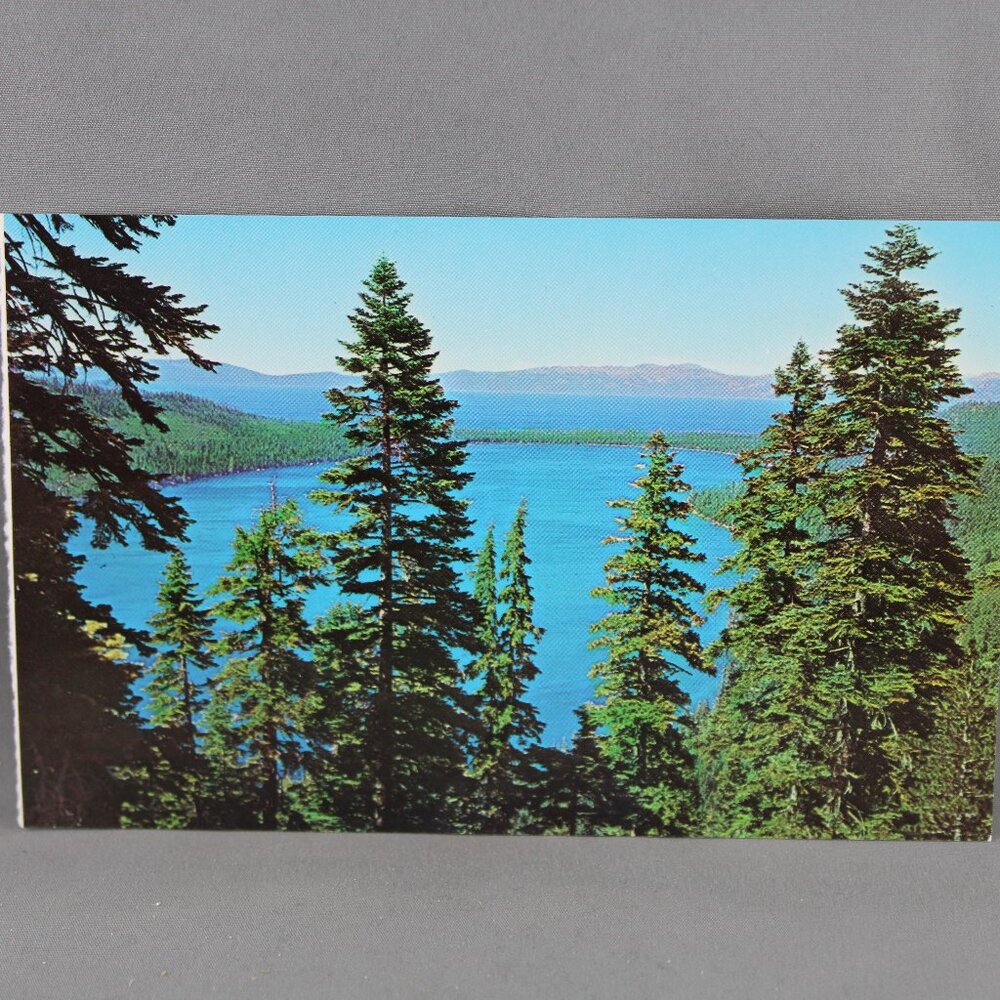 Vintage Postcard - Fallen Leaf Lake Lake Tahoe Area - Dexter Press